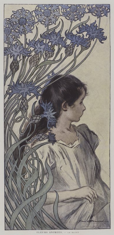 Fleurs Animees.Le Bluet.アニメの花：ヤグルマギク」（カラーリトグラフ 作： フィルミン（後）ブイセット