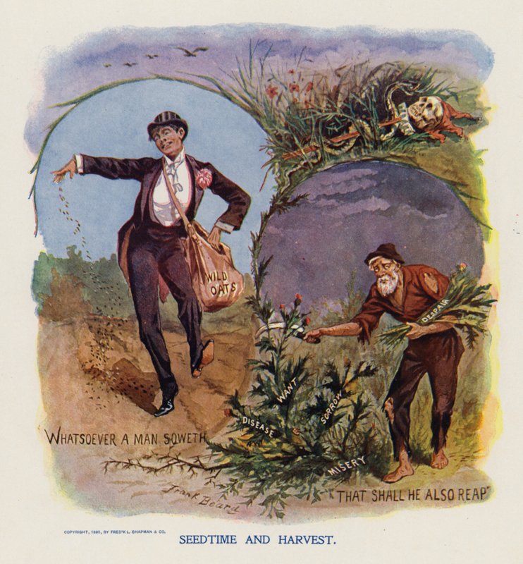  作： フランク・ベアード