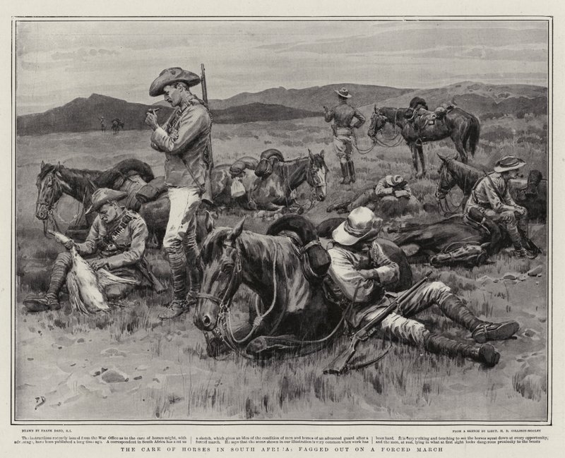 南アフリカの馬の世話、強制行進で弱体化 作： フランク・ダッド