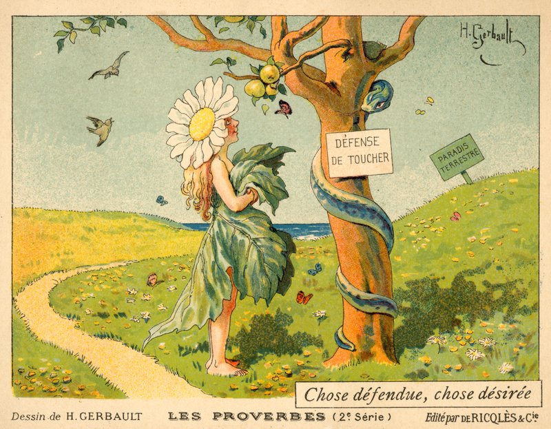 禁じられたもの、望まれたもの 作： フランス語学校