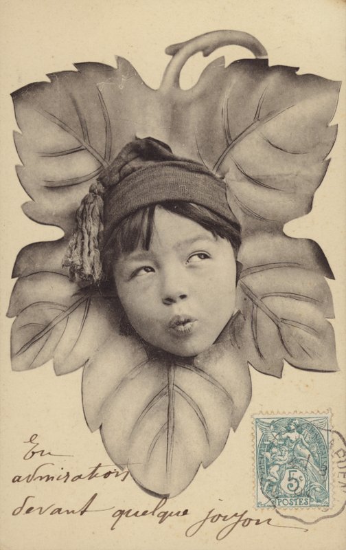 葉の中央にある小さな男の子の顔（フォトコラージュ） 作： フランスの写真家