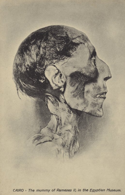 ラムセス2世のミイラ | アートプリント