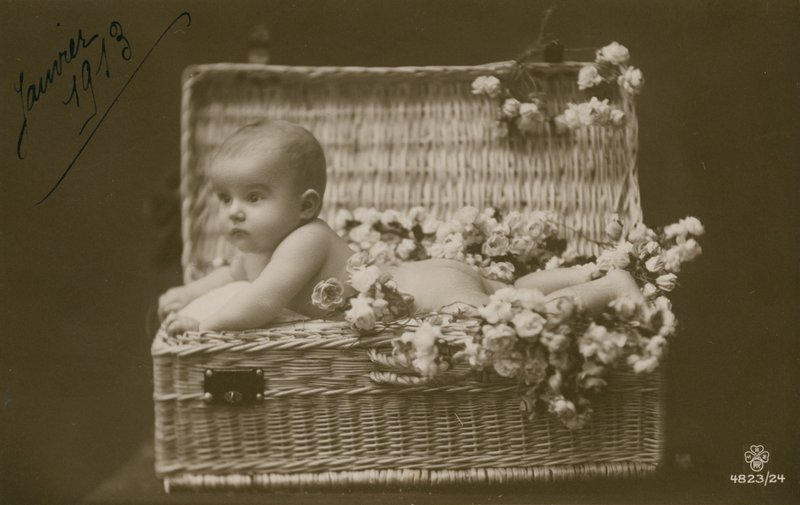 1913年1月に送付された、花が付いた籐のバスケットに入った赤ちゃんのはがき 作： フランスの写真家