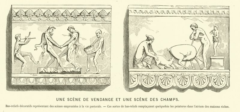 ブドウの収穫と畑の様子を描いた古代ローマの浮彫り（エングレービング 作： フランス語学校
