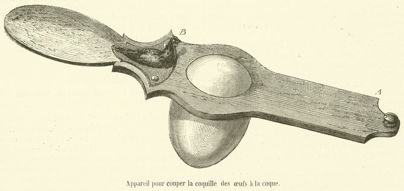 ゆで卵の殻を切る装置（彫刻 作： フランス語学校