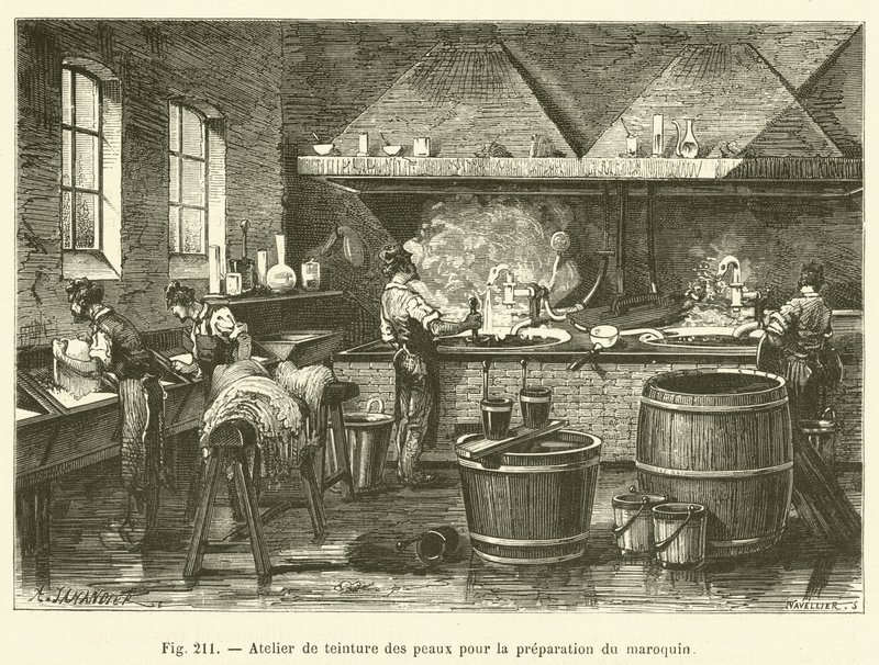 革製品の準備のための革の染色ワークショップ（彫刻 作： フランス語学校