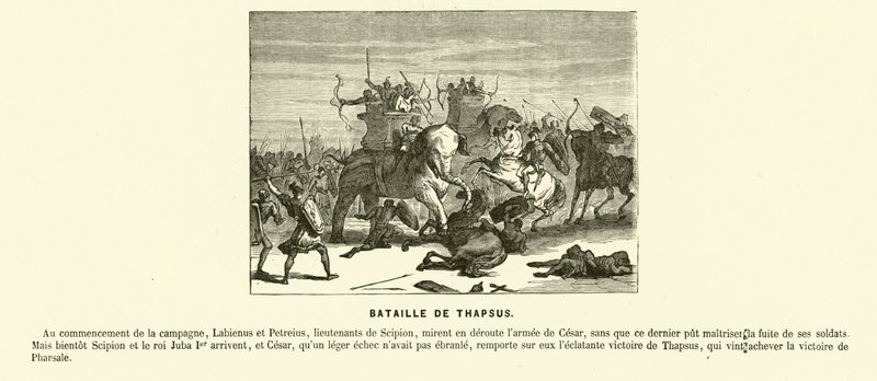 タプソスの戦い（北アフリカ、カエサルの内戦、紀元前46年）（エングレーヴィング 作： フランス語学校