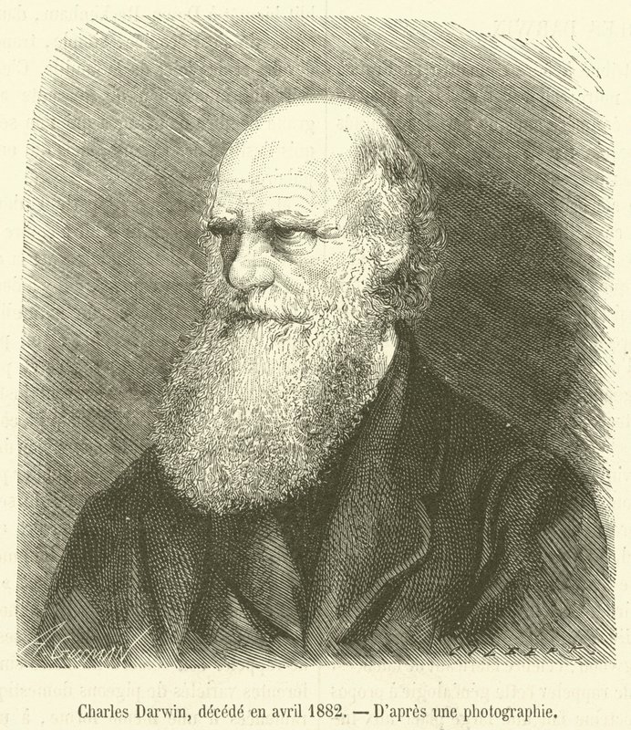 チャールズ・ダーウィン、1882年4月に死去（エングレービング 作： フランス語学校