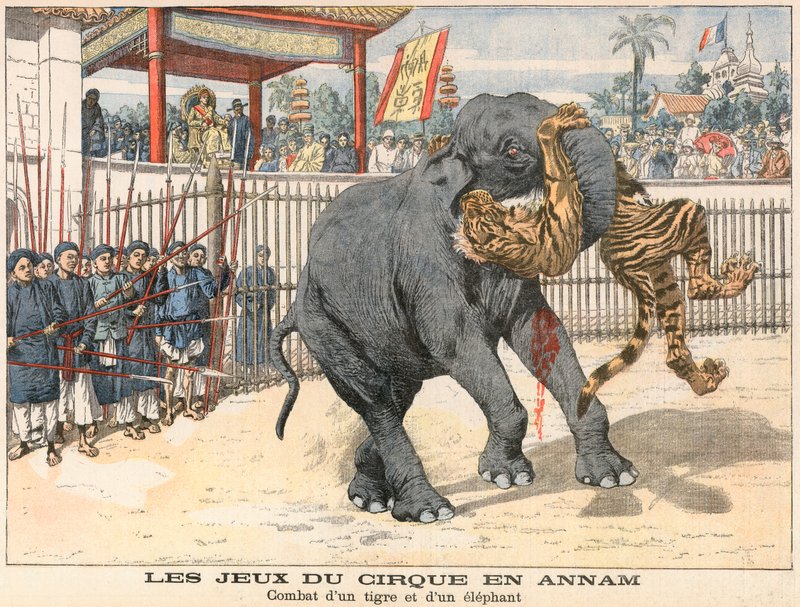 虎と象の間の戦闘 作： フランス語学校