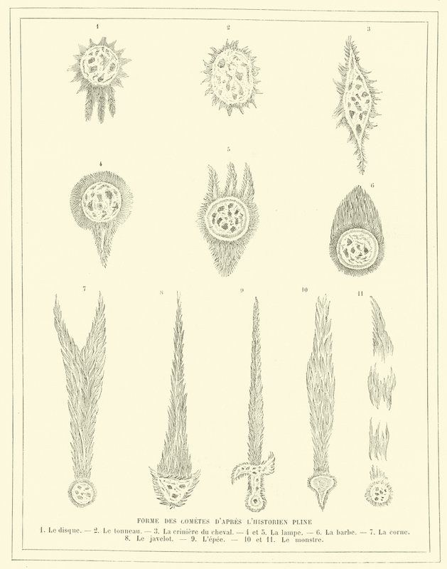 プリニウスの描いた彗星の形（版画 作： フランス語学校