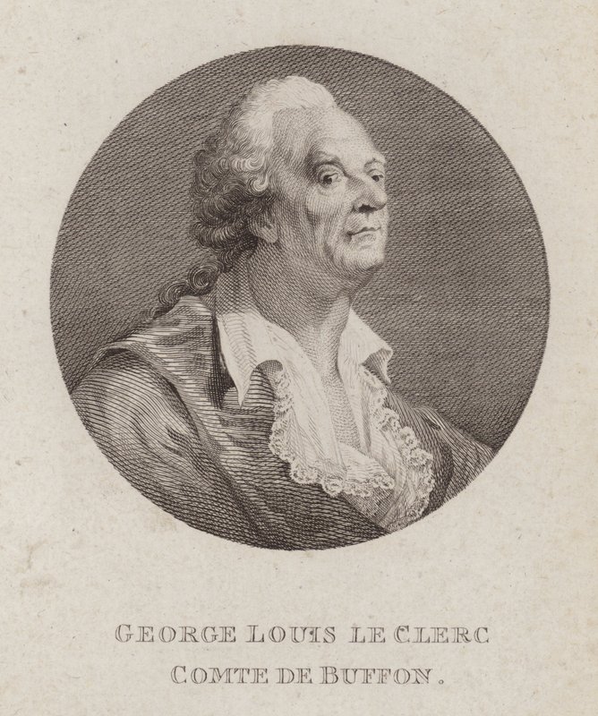 Georges-Louis Leclerc, Comte de Buffon, French Naturalist (carving) 作： フランス語学校