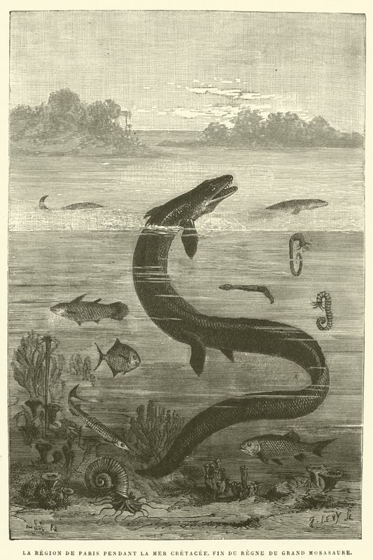 白亜紀海のパリ地方、大モササウルスの支配の終わり（彫刻 作： フランス語学校