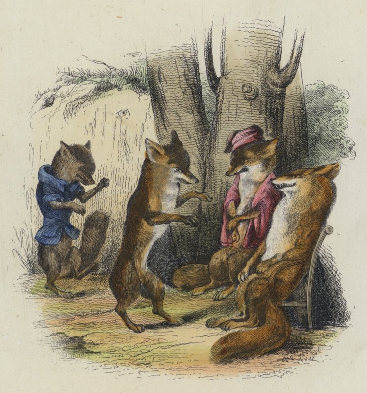 Le Renard Qui A La Queue Coupee (カラー・エングレービング) 作： フランス語学校