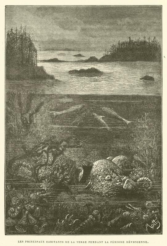 デボン紀の地球上の主な住人たち（彫刻作品 作： フランス語学校
