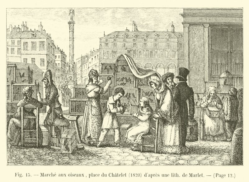 鳥の散歩、シャトレ広場、1820年、マーレットのリスの後 作： フランス語学校