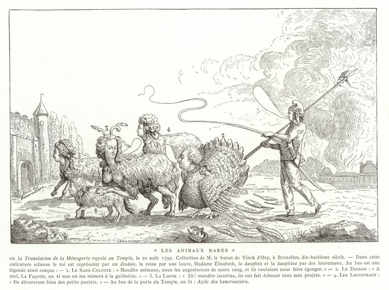 珍しい動物 作： フランス語学校