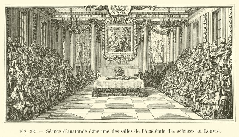 ルーブル美術館の科学アカデミーの部屋の1つでの解剖学セッション 作： フランス語学校