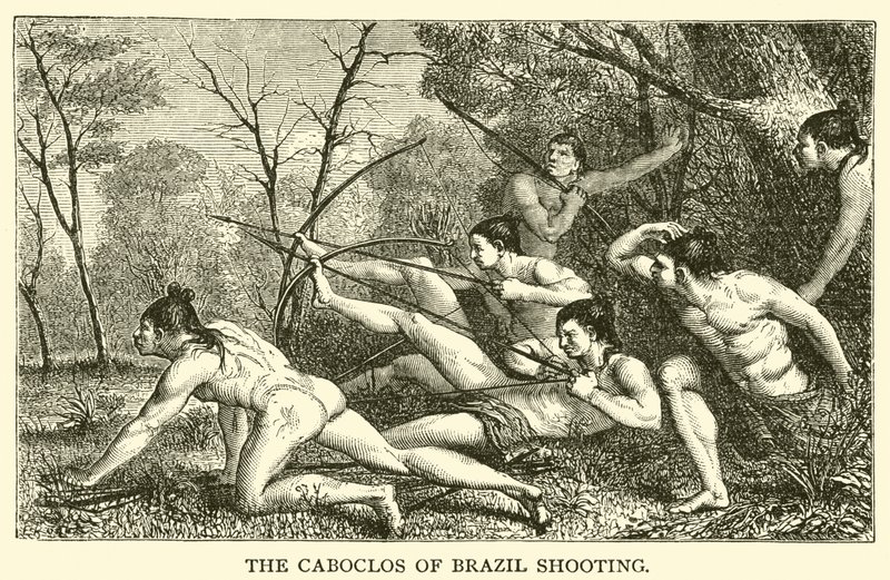 The Caboclos of Brazil 射撃（エングレービング 作： フランス語学校