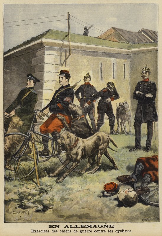 ドイツのサイクリストを攻撃するための軍犬の訓練 作： フランス語学校