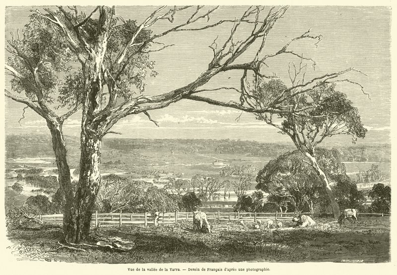Vue de la vallee de la Yarra (e.g. engraving) 作： フランス語学校