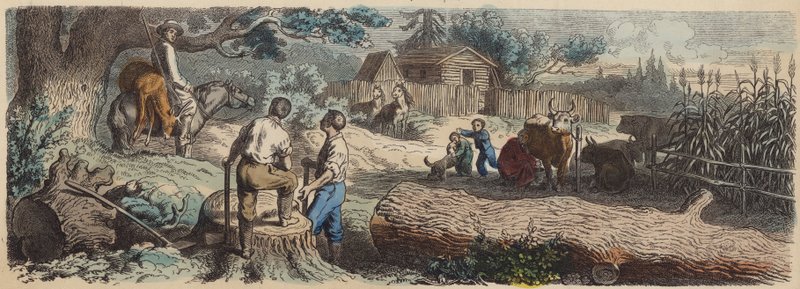 アメリカ西部の新開拓地（カラー図版 作： ドイツ語学校