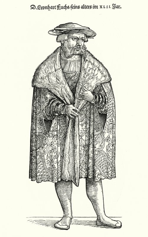 レオンハルト・フックス博士（ドイツの医師、植物学者、チュービンゲン大学教授）（彫刻 作： ドイツ語学校