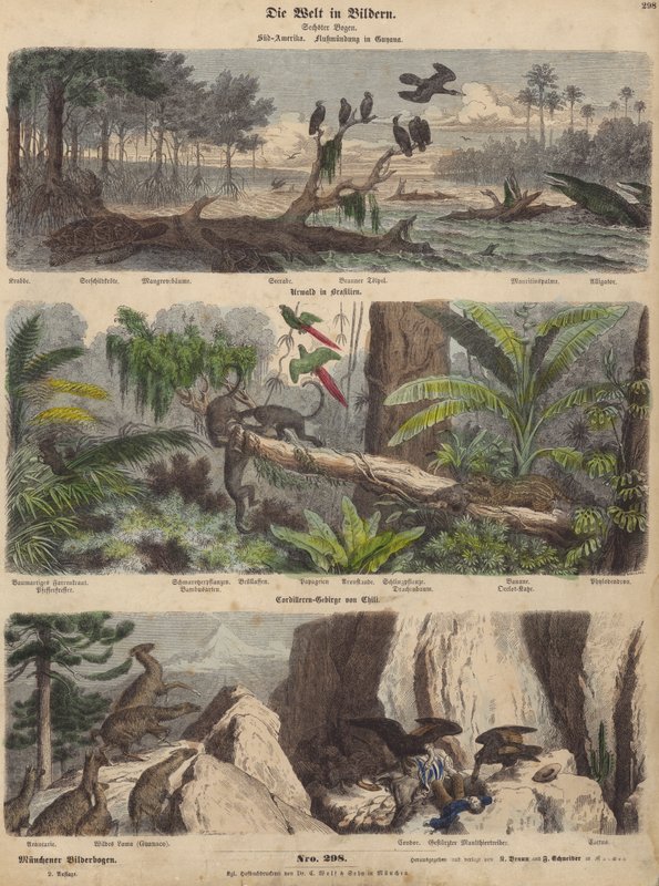 南米：ガイアナの河口、ブラジルのジャングル、チリのアンデス（カラー図版 作： ドイツ語学校