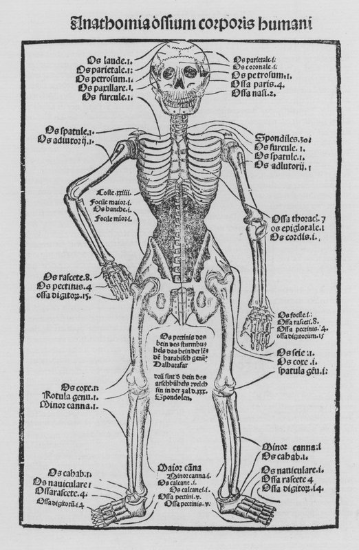 ヒエロニムス・ブルンシュヴィッヒによる外科の本 作： ドイツ語学校