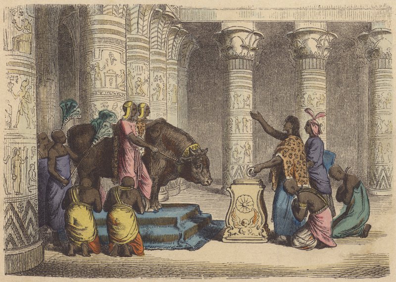 古代エジプトにおけるアピス牡牛の崇拝（カラー図版