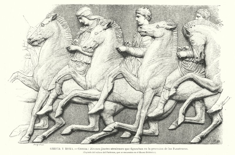 アテネの若き騎馬民族、古代ギリシャ・アテネのパルテノン神殿フリーズの一部のコピー（リトグラフ 作： ドイツ語学校