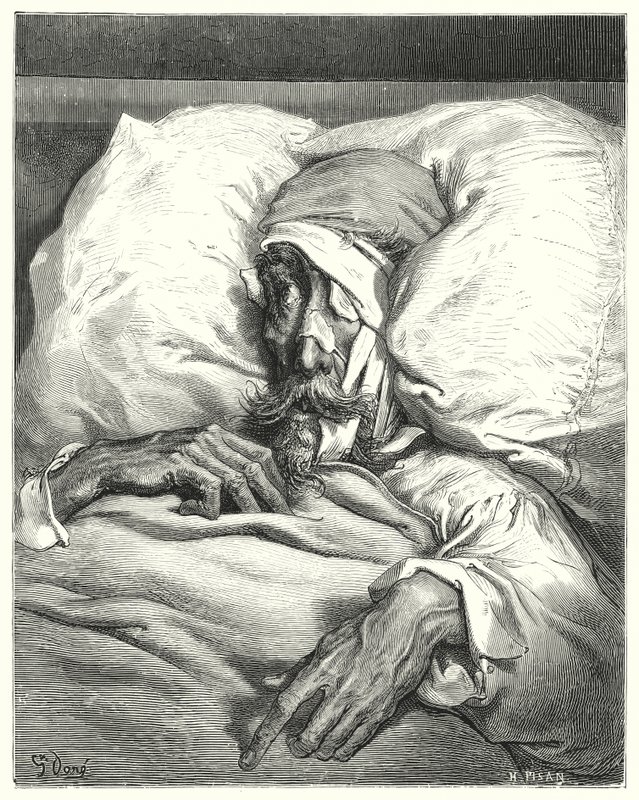 Gustave Dores Don Quixote: "Don Quixote, thus unhappily injured, was extremely sullen and melancholy" (engraving) 作： ギュスターヴ・ドレ