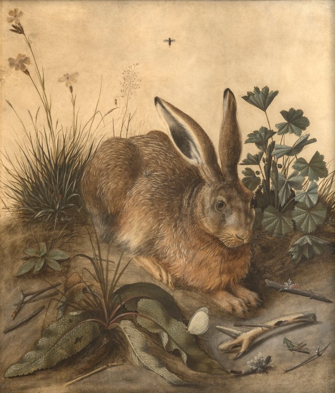 Hans_Hoffmann_-_The_hare_-_(