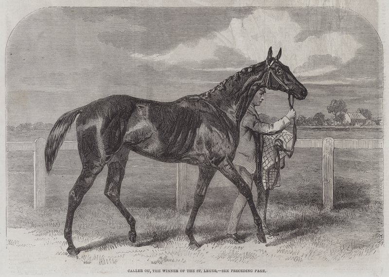 St Legerの勝者であるCaller Ou 作： ハリーホール