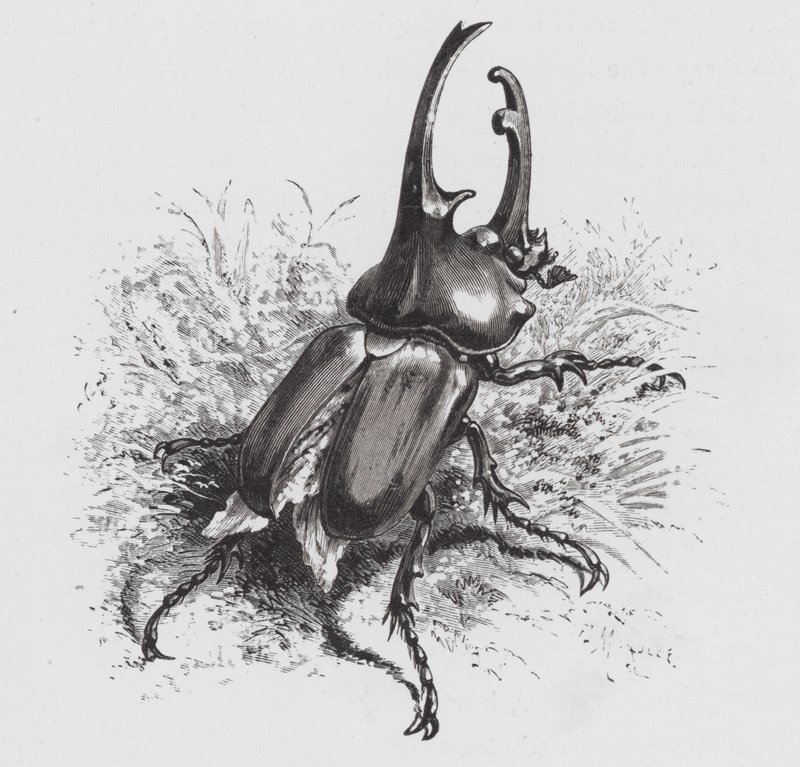 Hector_Giacomelli_-