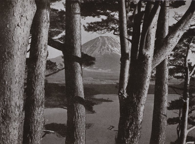 松林の間から見える富士山（白黒写真 作： ハーバート・ポンティング