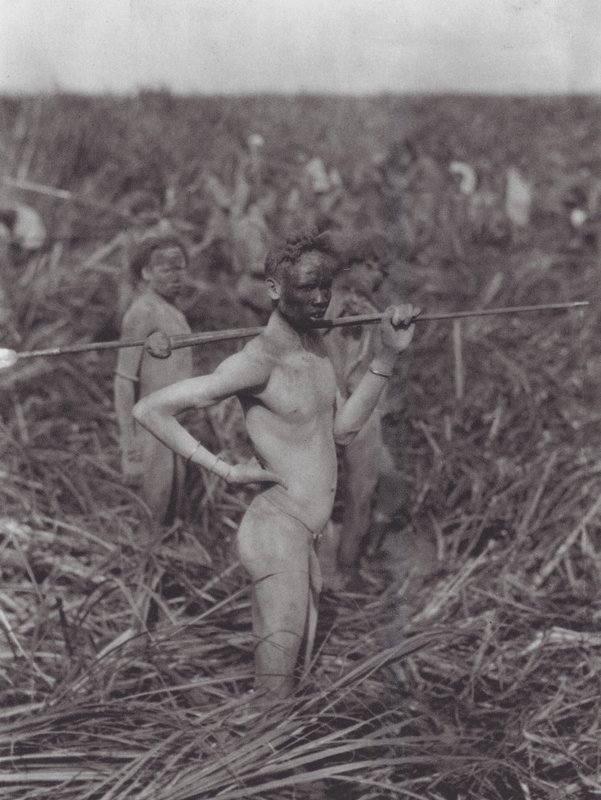 アフリカ沼地のヌエル族の戦士たち（モノクロ写真） 作： ヒューゴ・アドルフ・ベルナツィク