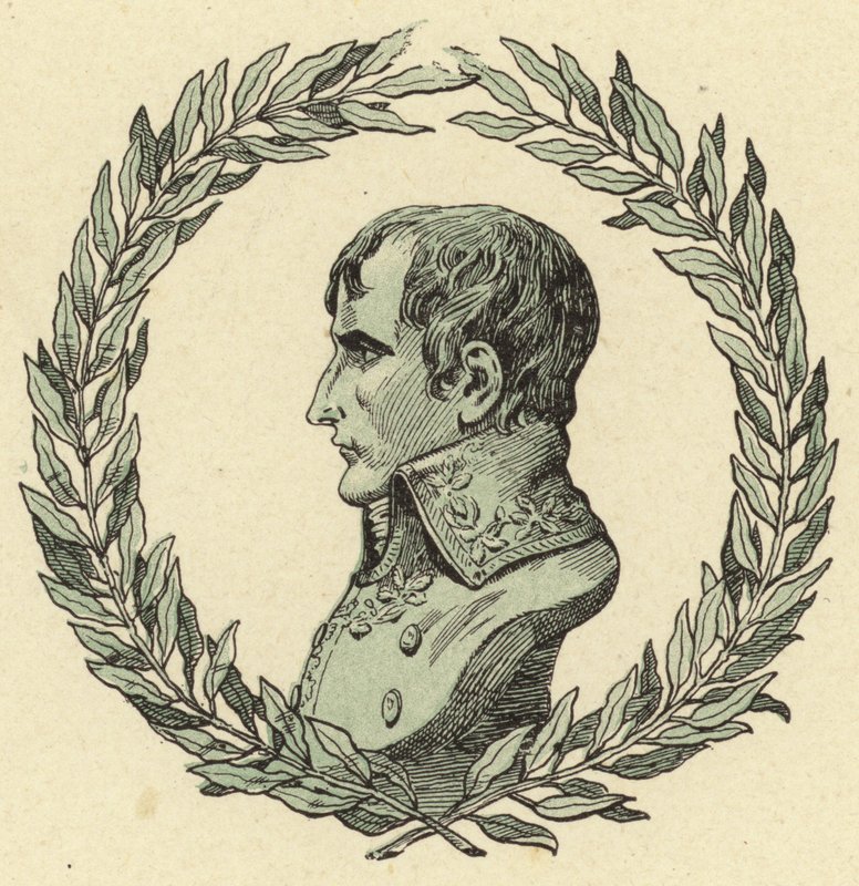 ナポレオンボナパルトの胸像 作： Jacques Marie Gaston Onfray de Breville（仕事）