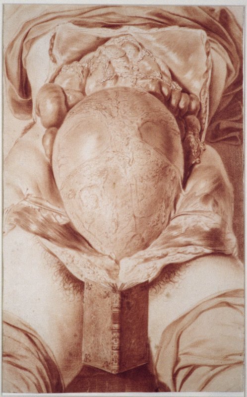 Jan_van_Rymsdyk_-