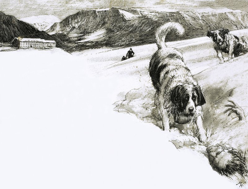 だからこそ...これらのマウンテン・ドッグはセント・バーナード犬と呼ばれている。 作： ジョン・ミラー・ワッツ