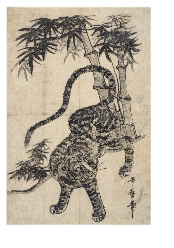 Kitagawa_II_Utamaro_-_Tiger_-_