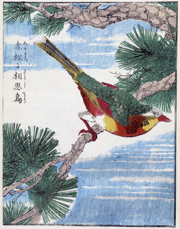 Kitao_Shigemasa_-