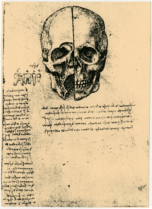 Leonardo_da_Vinci_-