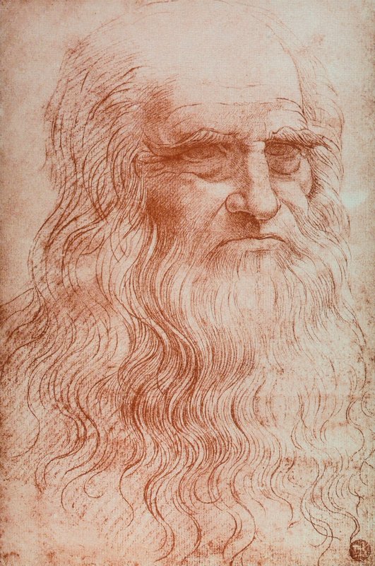 私の自画像 Leonardo_da_after_Vinci_-