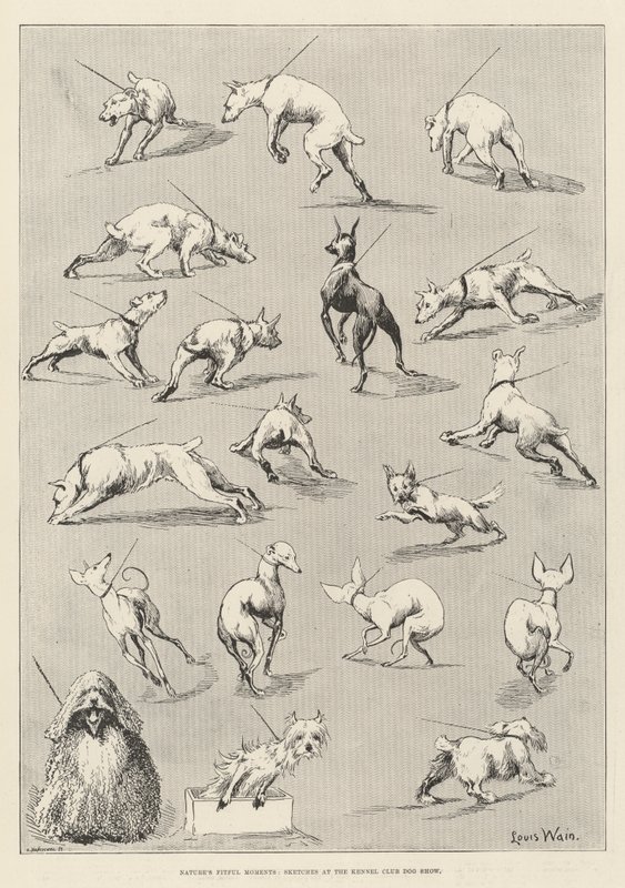 Nature&39;s Fitful Moments、Sketches at the Kennel Club Dog Show 作： ルイス・ウェイン
