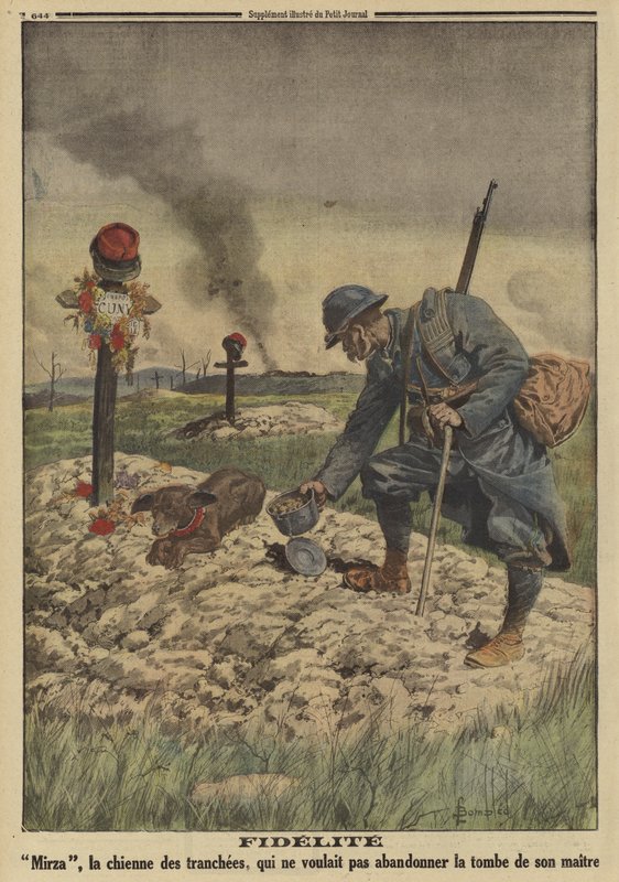 忠誠心。亡くなった主人の墓から離れようとしないフランス軍の犬（第一次世界大戦 作： ルイチャールズ（後）爆撃