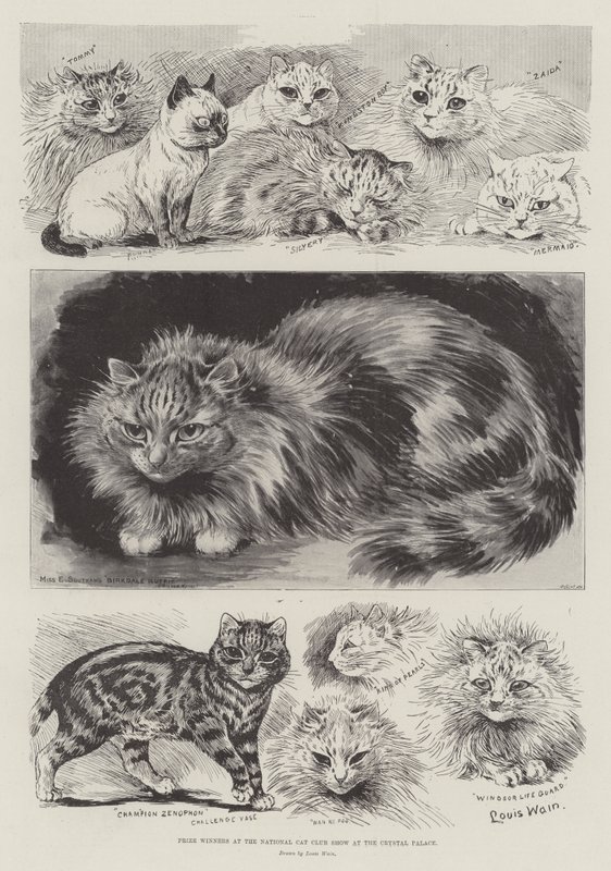 Crystal PalaceでのNational Cat Club Showの受賞者 作： ルイス・ウェイン