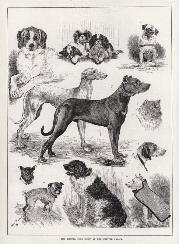 The Kennel Club Show at the Crystal Palace (e.g. The Kennel Club Show at the Crystal Palace) 作： ルイス・ウェイン
