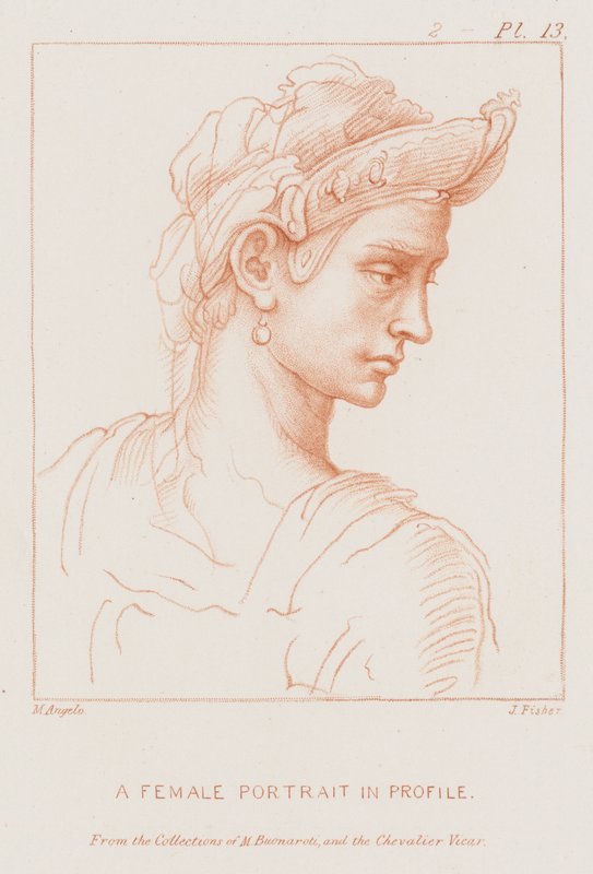 プロファイルの女性の肖像画 作： ミケランジェロ・ブオナローティ