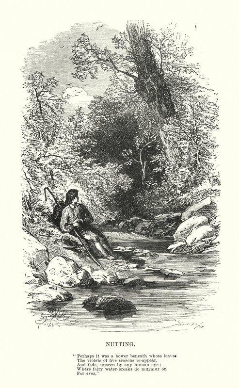 ウィリアム・ワーズワース：ナッティング（彫刻 作： Myles Birket（後）フォスター