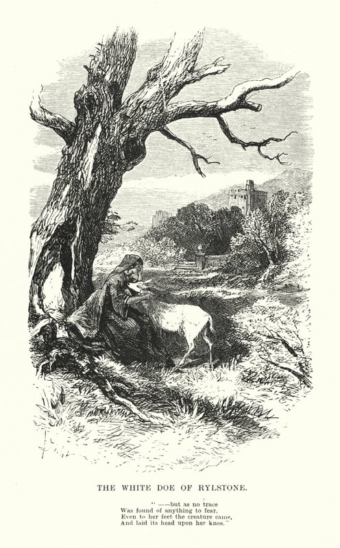 ウィリアム・ワーズワースライルストーンの白い雌鹿」（エングレーヴィング 作： Myles Birket（後）フォスター